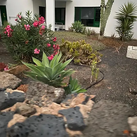 Un Rincon En Lanzarote Costa Teguise